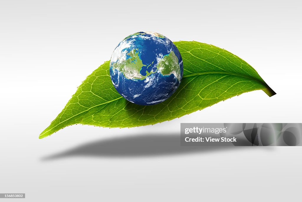Digital composite of earth and greenn leaf