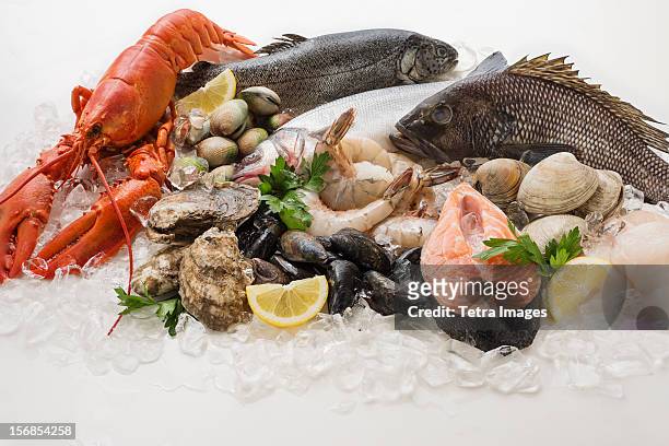 choice of seafood, studio shot - vis en zeevruchten stockfoto's en -beelden