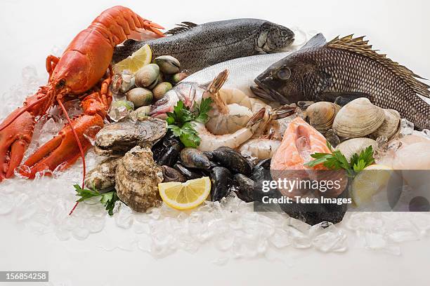 choice of seafood, studio shot - 海產 個照片及圖片檔