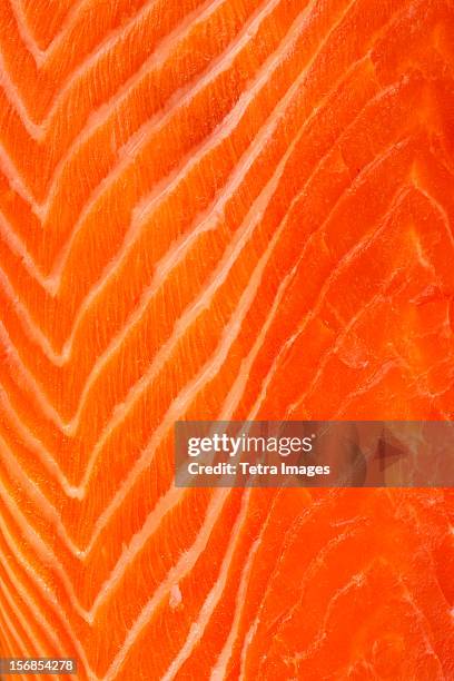 close up of raw salmon meat, studio shot - lachs stock-fotos und bilder