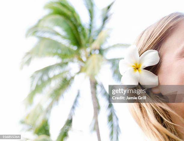 usa, hawaii, kauai, poipu beach, woman wearing plumeria flower in hair - blumen als accessoire stock-fotos und bilder