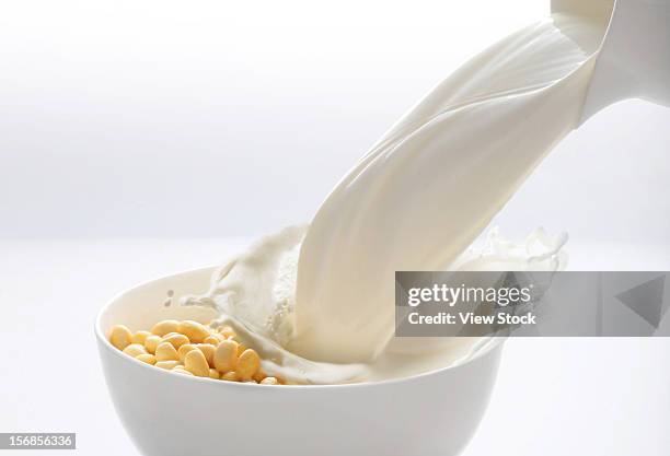 soybean and milk - soy milk bildbanksfoton och bilder