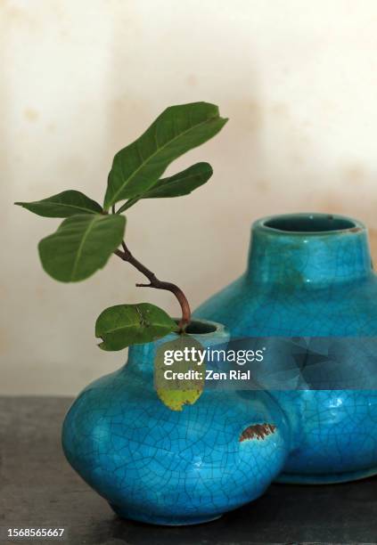 7,511 Zen Rial Stock Photos, High-Res Pictures, and Images - Getty Images