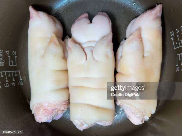 raw trotters, pettitoes in cooking pan - trotter stock pictures, royalty-free photos & images