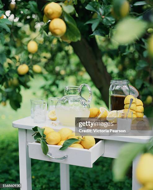 freshly-squeezed lemonade. - lemon tree stock pictures, royalty-free photos & images