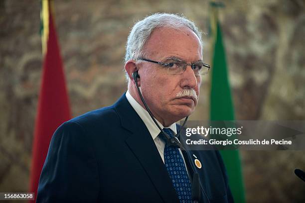 Palestinian Foreign Minister Riad Malki attends a ministerial committee with Italian Foreign Minister Giulio Terzi at Farnesina on November 23, 2012...