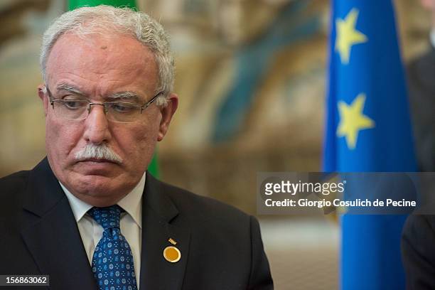 Palestinian Foreign Minister Riad Malki attends a ministerial committee with Italian Foreign Minister Giulio Terzi at Farnesina on November 23, 2012...