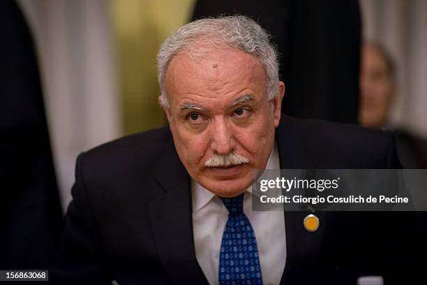 Palestinian Foreign Minister Riad Malki attends a ministerial committee with Italian Foreign Minister Giulio Terzi at Farnesina on November 23, 2012...