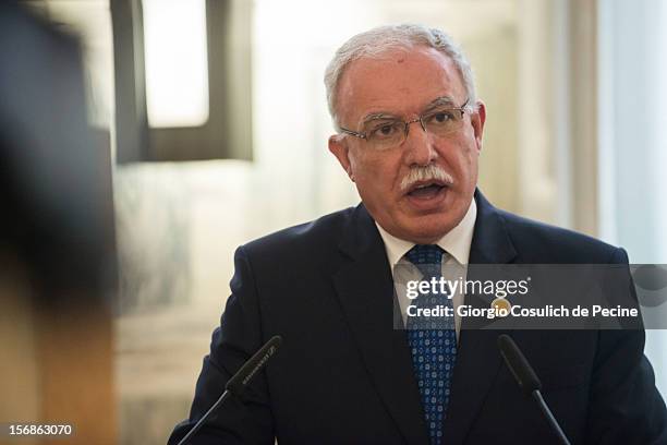 Palestinian Foreign Minister Riad Malki talks during a press conference after a ministerial committee with Italian Foreign Minister Giulio Terzi at...