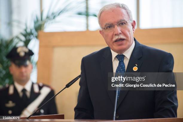 Palestinian Foreign Minister Riad Malki talks during a press conference after a ministerial committee with Italian Foreign Minister Giulio Terzi at...