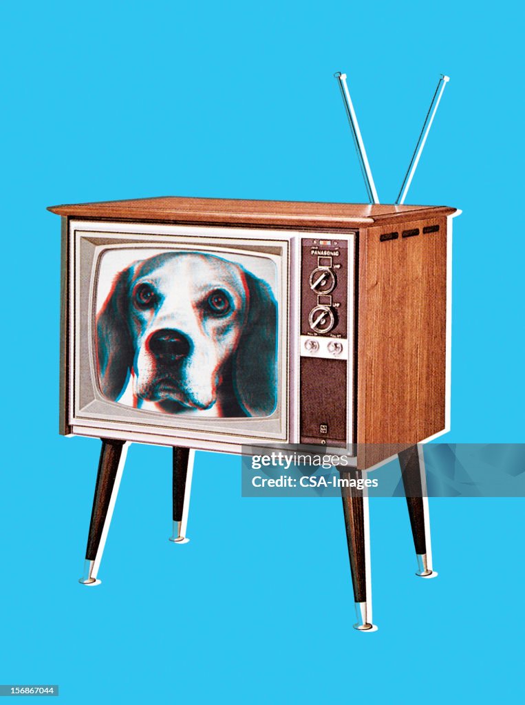 Perro Beagle en el televisor de pantalla gigante