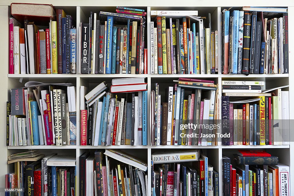 Art books on shelves.