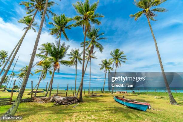 beautiful tropical beach with fisherman village, coconut palm tree and blue sky. - terengganu 個照片及圖片檔