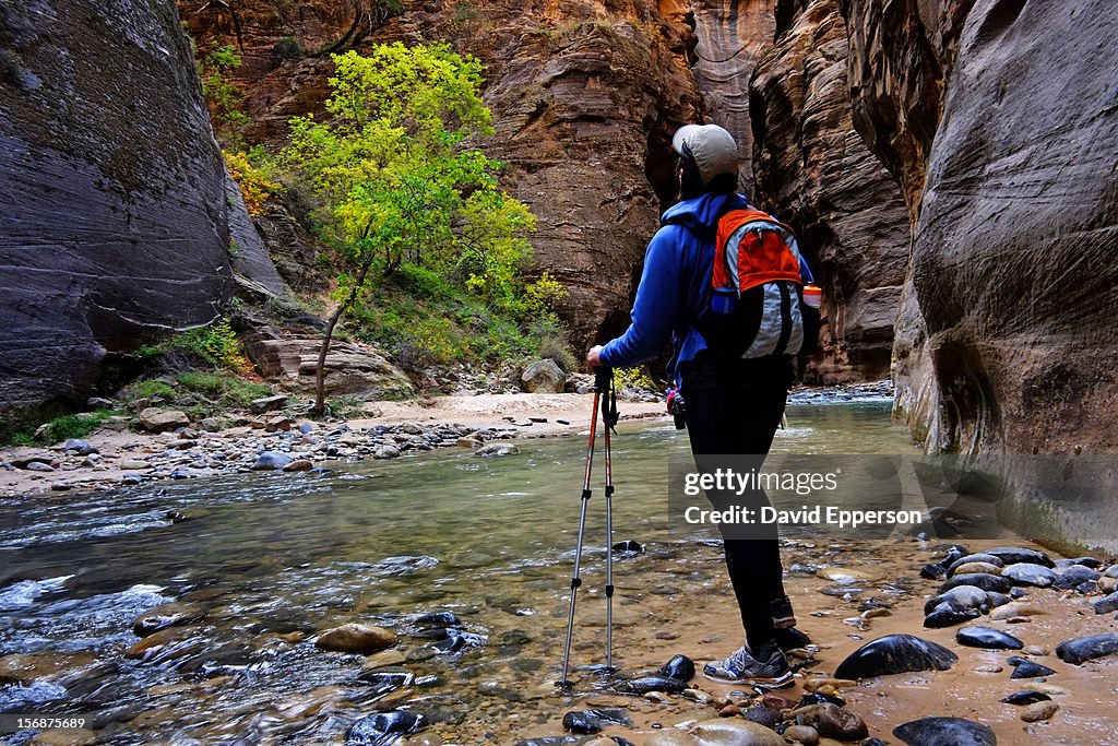 Man hiking The Narrows in Zion National Park