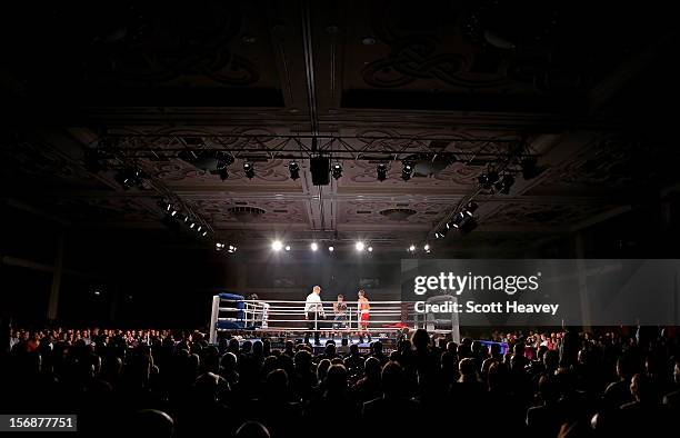 General view of Andrew Selby of British Lionhearts in action with Daniele Limone of Italia Thunder during their 50-54kg bout in the World Series of...