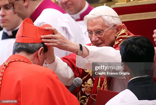 New cardinal, Ruben Salazar Gomez, archbishop of Bogotˆ, receives the biretta cap from Pope Benedict XVI in Saint Peter's Basilica on November 24,...