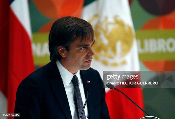 Chile's Minister of the National Council for Culture & the Arts Luciano Cruz-Coke delivers a speech during the opening ceremony of the International...