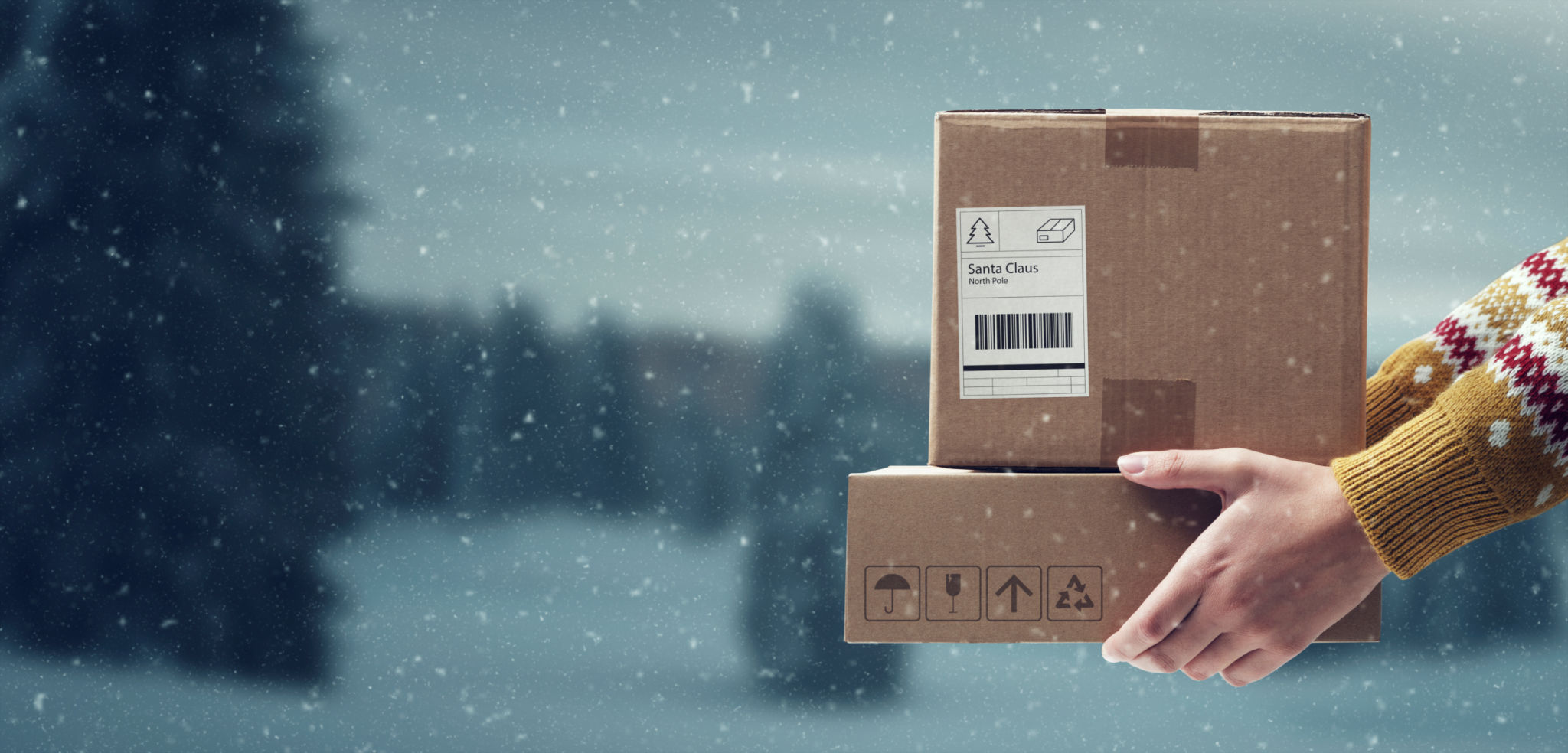 winter delivery
