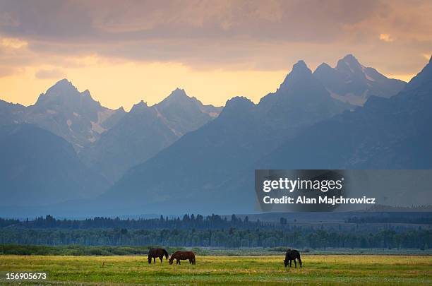 grand teton national park wyoming - teton gebirge stock-fotos und bilder
