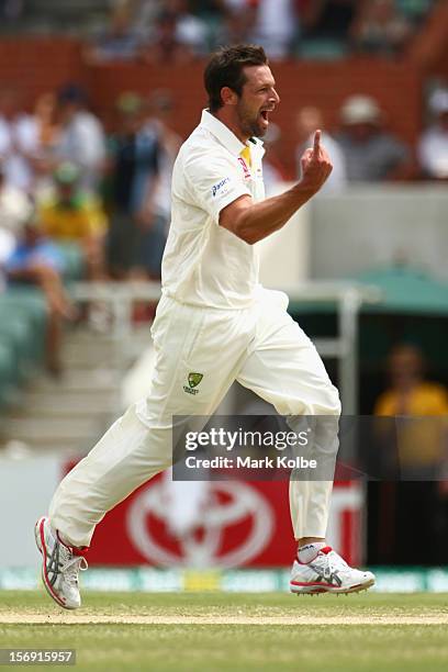 Ben Hilfenhaus of Australia celebrates taking the wicket of Graeme Smith of South Africa during day four of the Second Test Match between Australia...