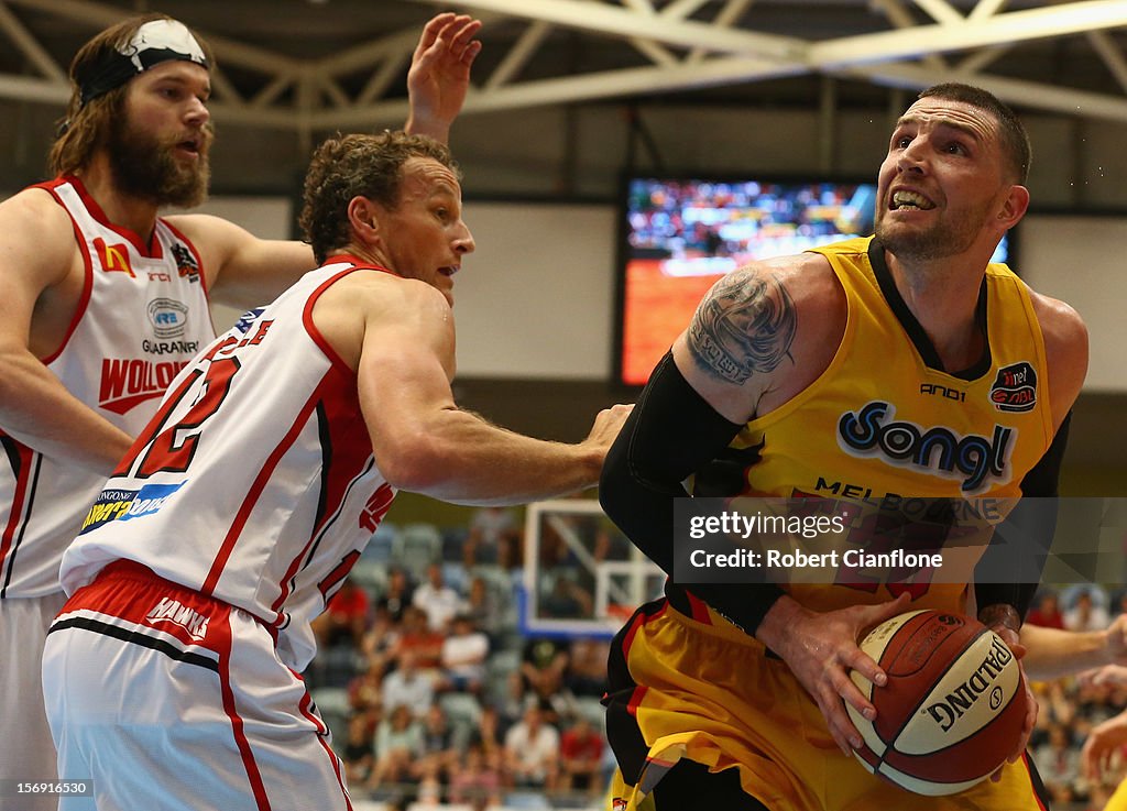 NBL Rd 8 - Melbourne v Wollongong
