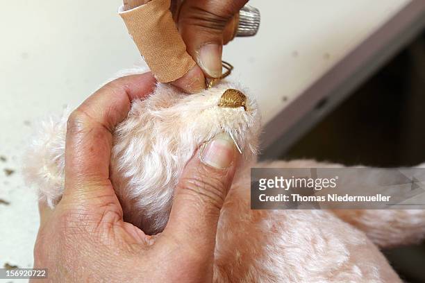 Worker hand-stitches the mouth and nose onto a teddy bear at the Steiff stuffed toy factory on November 23, 2012 in Giengen an der Brenz, Germany....