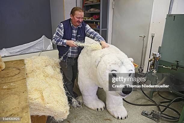 Worker prepares a polar bear at the Steiff stuffed toy factory on November 23, 2012 in Giengen an der Brenz, Germany. Founded by seamstress...