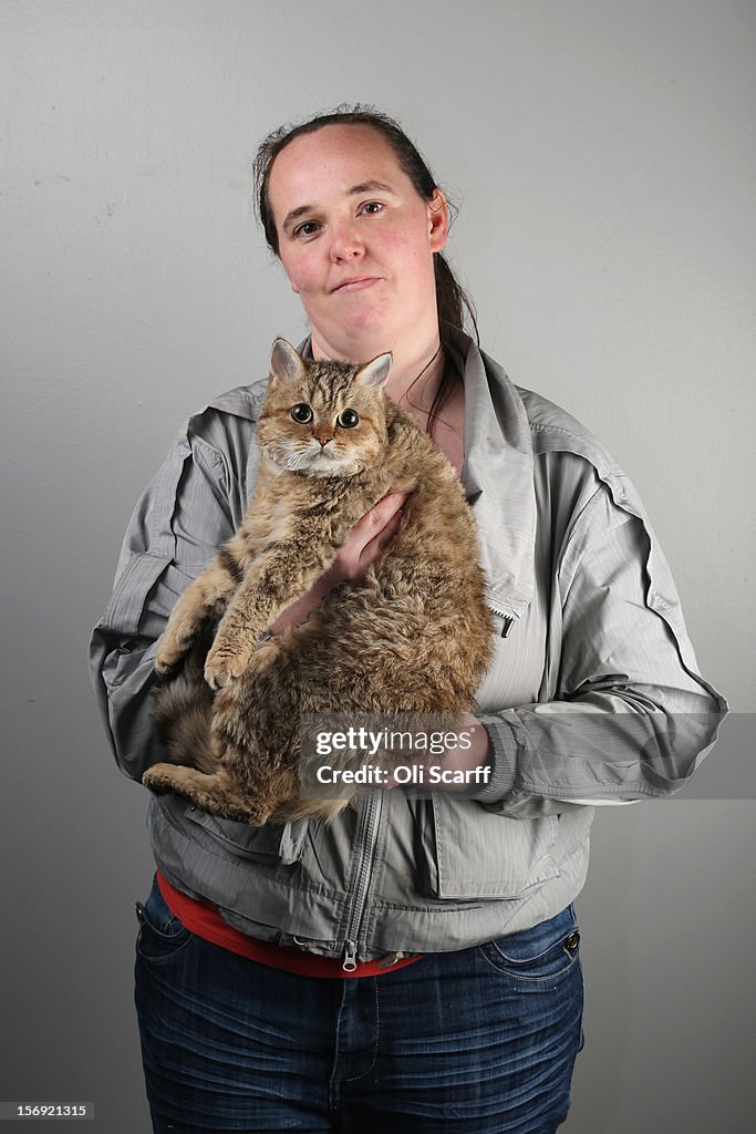 Owners And Their Pets Gather For The Annual Supreme Cat Show