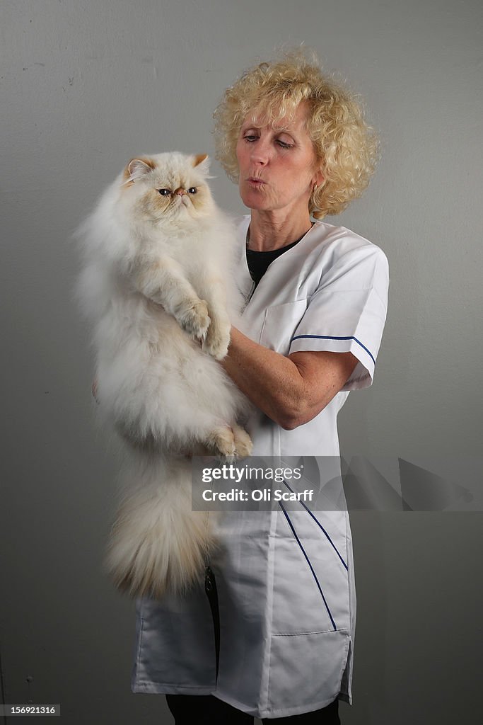 Owners And Their Pets Gather For The Annual Supreme Cat Show