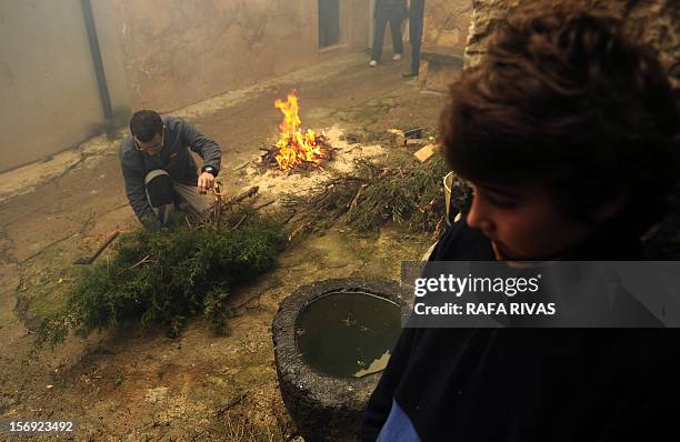 Man prepares a bonfire with rosemary, on November 25 in the northern Spanish village of Arnedillo prior to celebratring the "Procession of smoke"....