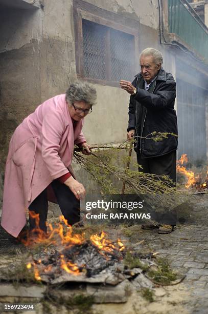 An elderly woman prepares a bonfire with rosemary, on November 25 in the northern Spanish village of Arnedillo prior to celebratring the "Procession...