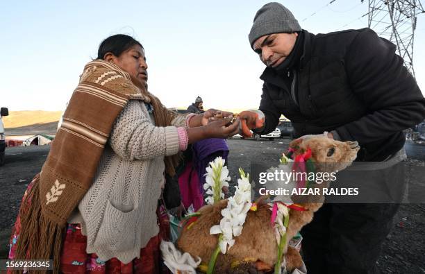 Yatiri Indigenous woman prepares a llama fetus during a ritual to thank the Pachamama goddess at the Bolivian Andes near La Paz, on August 1, 2023.
