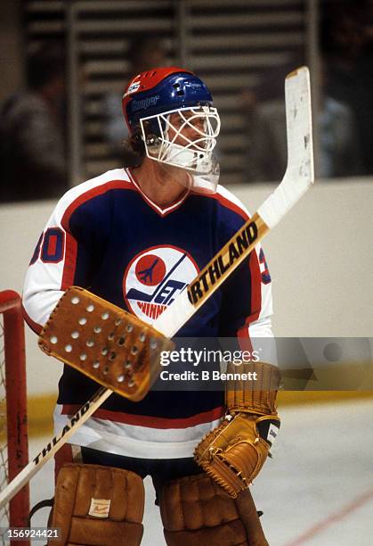 Goalie Gary Smith of the Winnipeg Jets looks on during an NHL game against the New York Rangers on November 21, 1979 at the Madison Square Garden in...