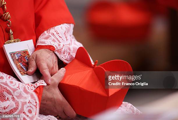 Cardinals holds his biretta cap during a mass held by Pope Benedict XVI with newly appointed cardinals at the St. Peter's Basilica on November 25,...