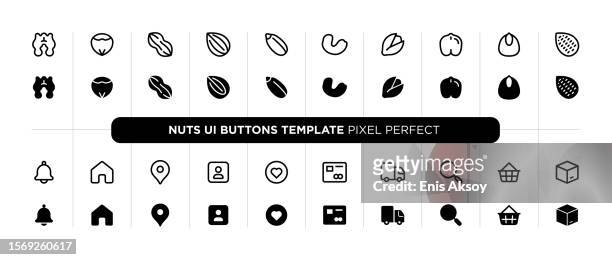 ilustrações, clipart, desenhos animados e ícones de modelo de botões de interface do usuário de porca - amendoim noz