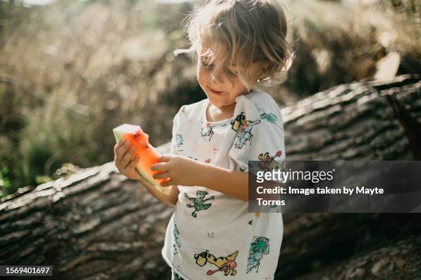 boy looking at his watermelon slice in the forest - boy curly blonde stock pictures, royalty-free photos & images