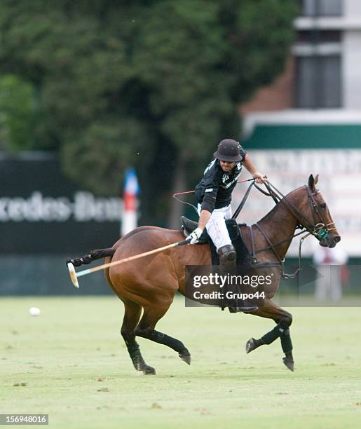 Pieres of Ellerstina in action during a polo match between Ellerstina and La Natividad as part of the 119th Argentine Open Polo Championship, at the...