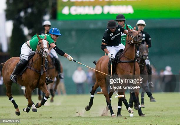 Pieres of Ellerstina in action during a polo match between Ellerstina and La Natividad as part of the 119th Argentine Open Polo Championship, at the...