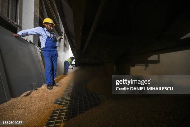 Workers open the hatches of a wheat transporting train car to be downloaded to a silo at "COMVEX" grain terminal in Constanta harbor, Romania on July...