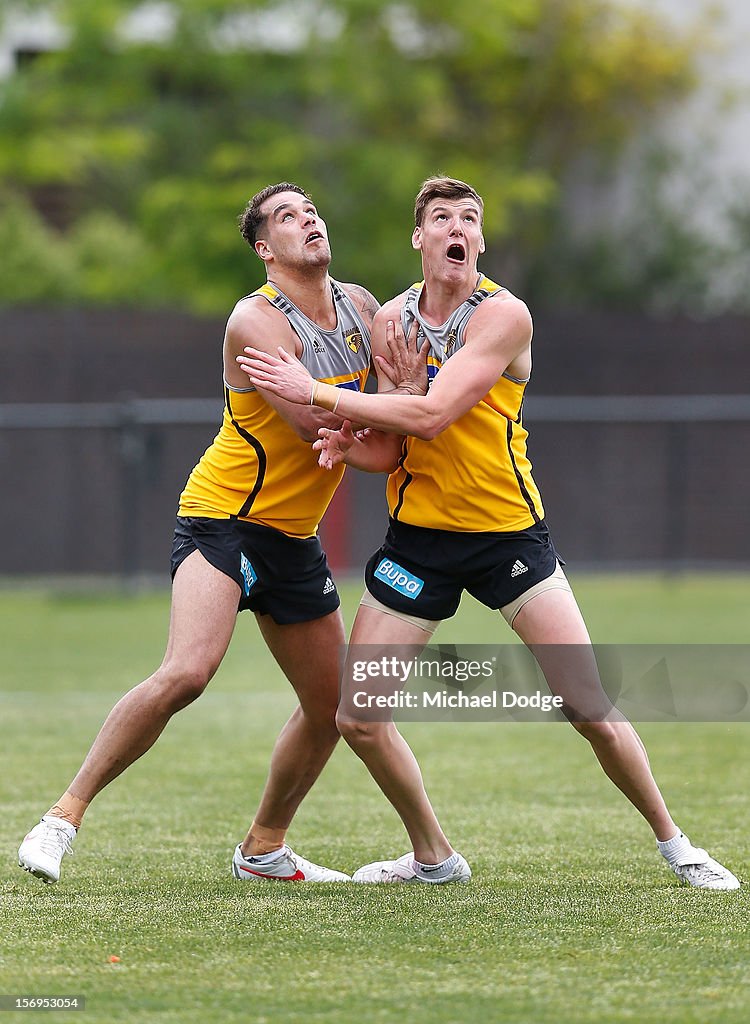 Hawthorn Hawks Training Session