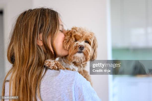 girl holding cute puppy over her shoulder - all people stock pictures, royalty-free photos & images