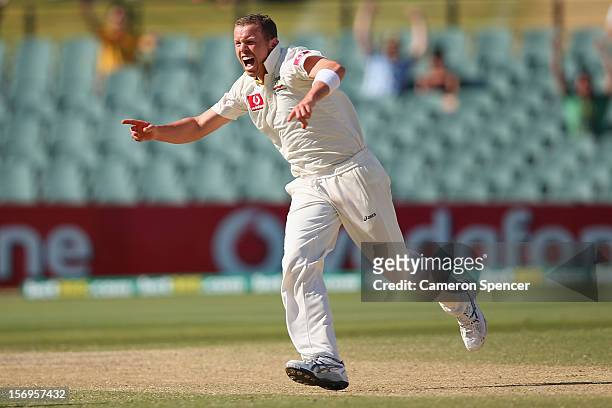 Peter Siddle of Australia celebrates dismissing Dale Steyn of South Africa during day five of the Second Test Match between Australia and South...