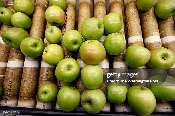 Covesville, VA -Granny smith apples are sorted in preparation for being exported to Cuba at the Crown Orchard Co. Friday, November 23, 2012.