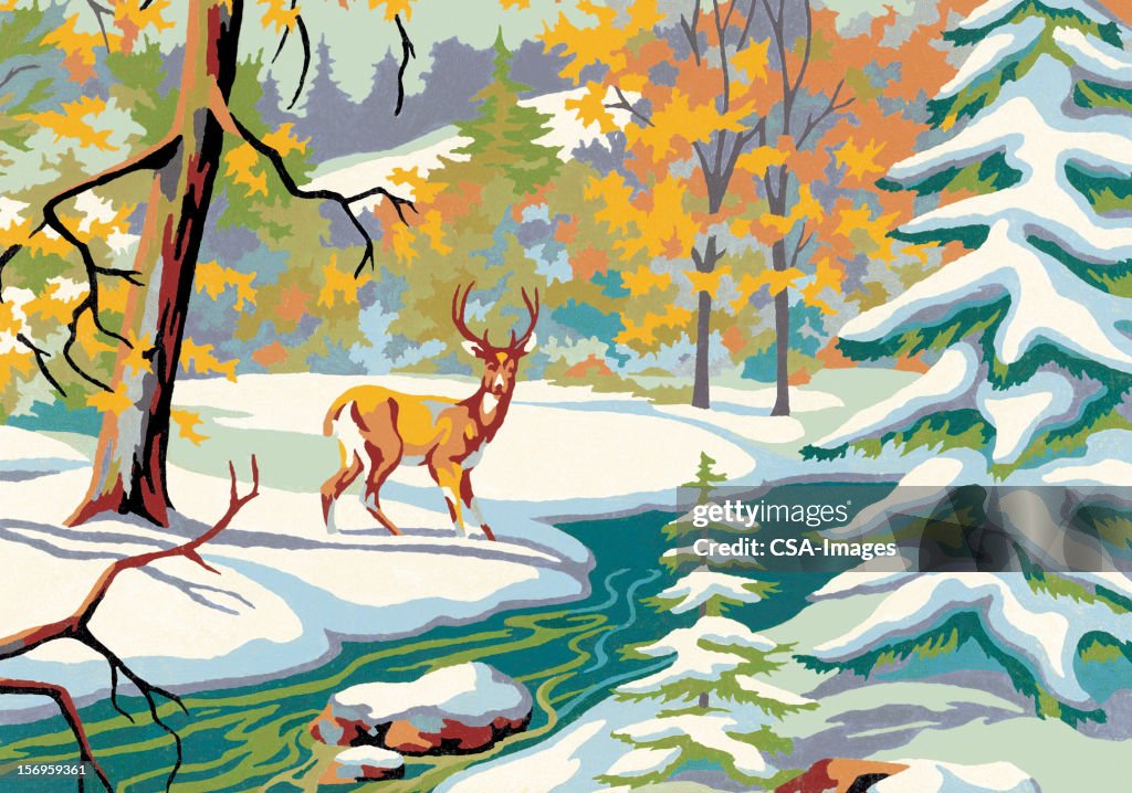 Deer in the snow