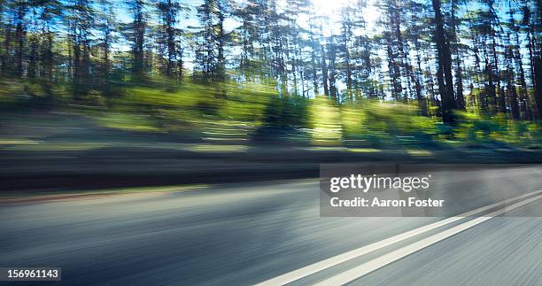 mountain highway through the trees - geschwindigkeit stock-fotos und bilder