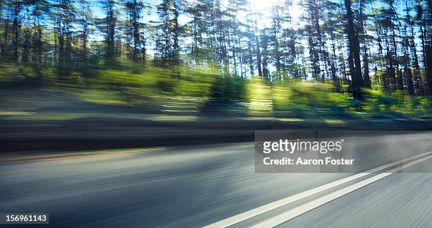mountain highway through the trees - dividing line road marking stockfoto's en -beelden