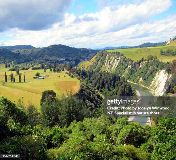 'down in the valley' - mangaweka, nz - manawatu stock pictures, royalty-free photos & images