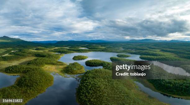 sunset over lakes surrounded by green forest - ecosystem stock pictures, royalty-free photos & images