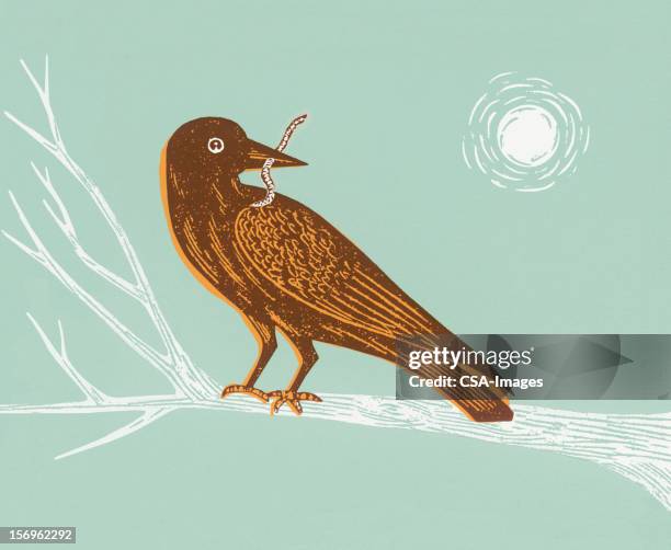 vogel auf einem ast - zwei tiere stock-grafiken, -clipart, -cartoons und -symbole