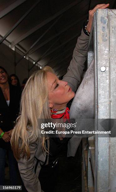 Bo Derek attends SICAB 2012, the International Horse Fair of Spain, on November 24, 2012 in Seville, Spain.